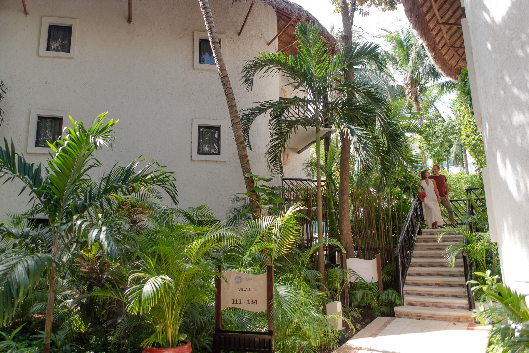 The Reef Playacar